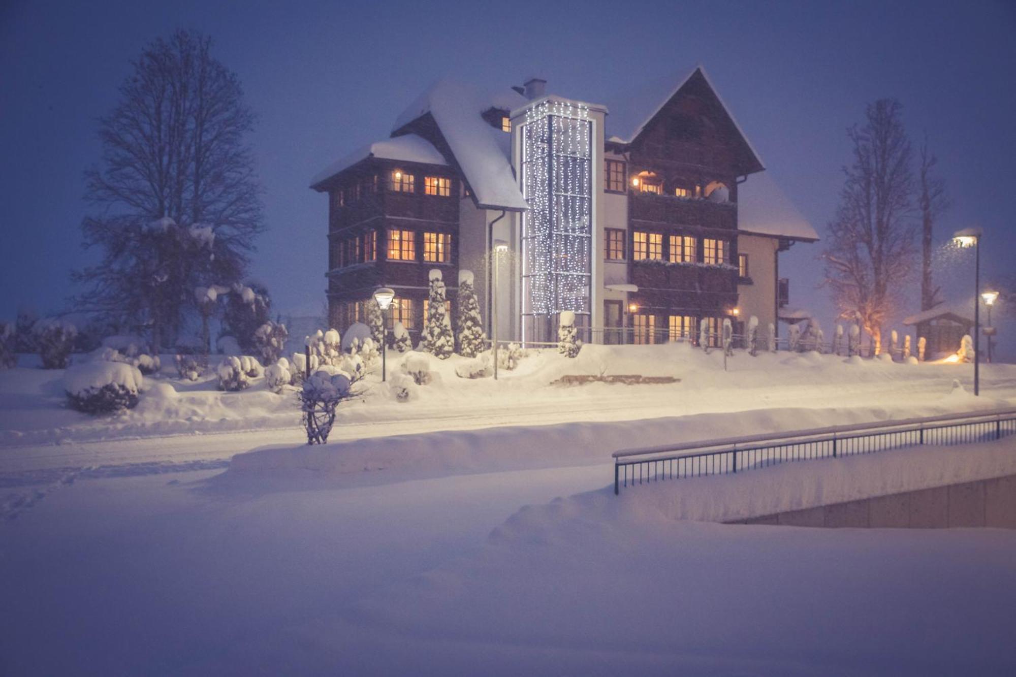 Chalet Annelies Ramsau Am Dachstein Exterior photo